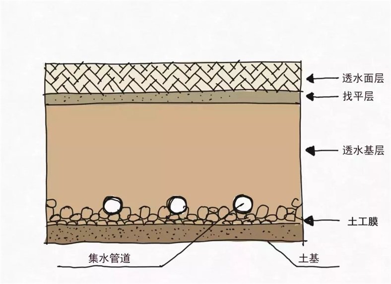 1597045589993835.jpg 1325235X3-8.jpg